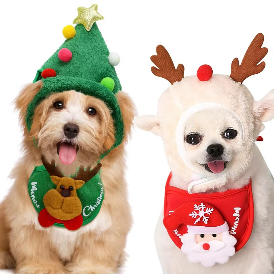 MerryPaws Santa Costume