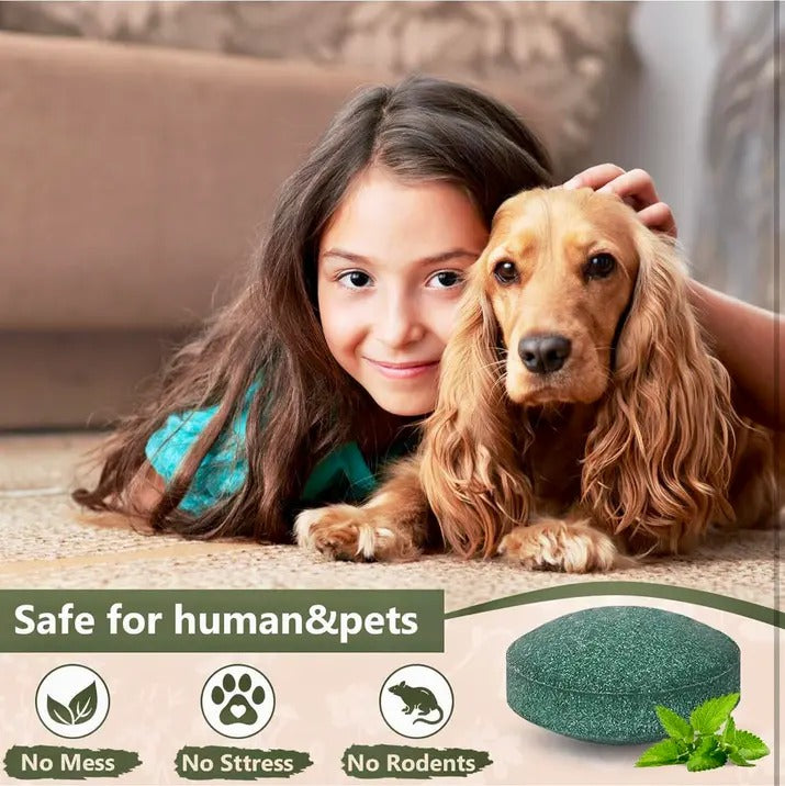 Peppermint Oil Rat Repellent Balls | Pack of 24